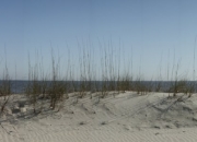 seaoats_1280x302